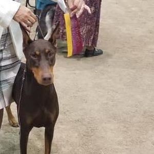 Meet your Posher, Heather